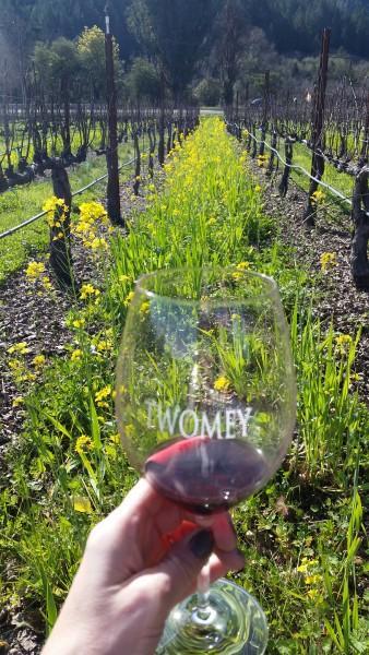 California Wine Events NOT to Miss in 2016!