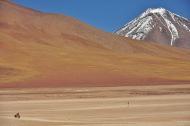 Favorite Cycling Routes: Extended Lagunas Route (Bolivian Altiplano)