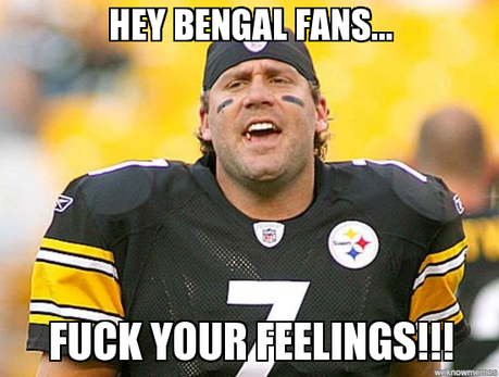 Bring on the Bungles!!!!!!!!!!