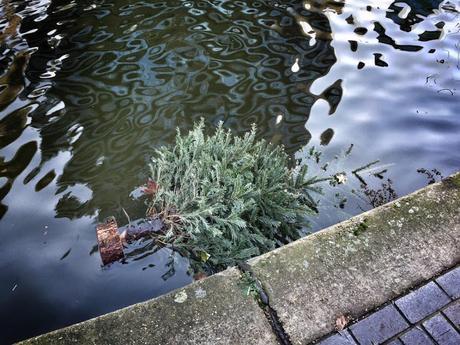 In & Around #London: Christmas Tree Crime Scenes #photoblog