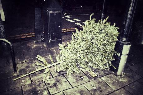 In & Around #London: Christmas Tree Crime Scenes #photoblog
