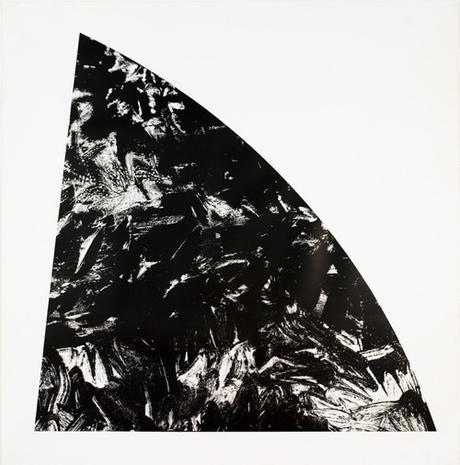 Ellsworth Kelly Black Fin Ble Rouge