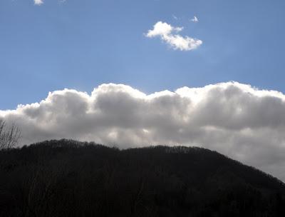 Winter Skies