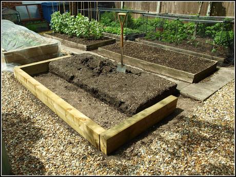 New raised beds - further musings....