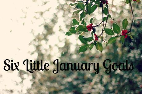Six Little January Goals | www.eccentricowl.com