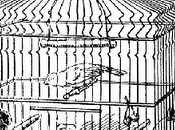 Droppings from Catholic Birdcage: Firing LGBT Employees Institutions Welcome? What Welcome?!