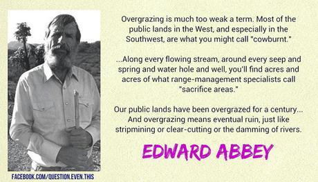 Rugged individualism and Independence with a government safety net