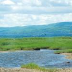 Along the Cabot Trail