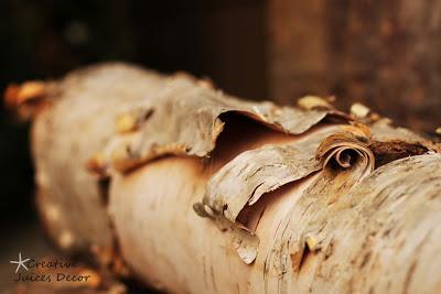 Happiness is Birch Logs in Your Home