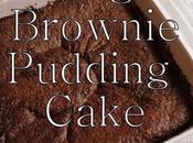 Fudge Brownie Pudding Cake