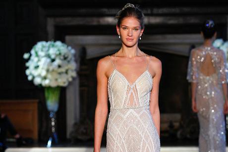 Alon-Livne-collection-cover