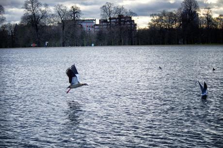 In & Around #London: #Kensington In the Bleak Midwinter