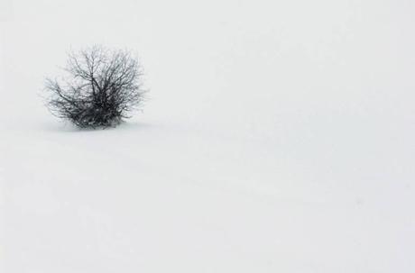 Affordable Artwork Snowy Landscape Photo