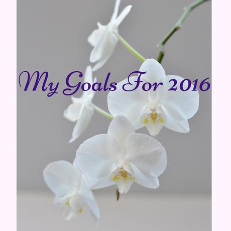 My Goals For 2016