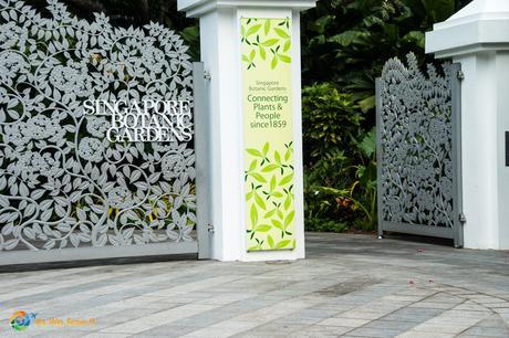 The main gate of the Tanglin core is a cast-aluminium tangle of Bauhinia kockiana, the climber planted at the fencing just beside it.