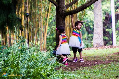 Kids having fun near the Children's Garden at the Bukit Timah Core.