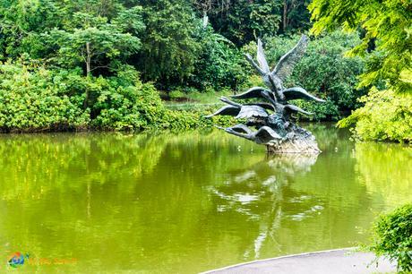 Swan Lake, which is also known as the First Lake, is a major attraction of Singapore Botanic Gardens.