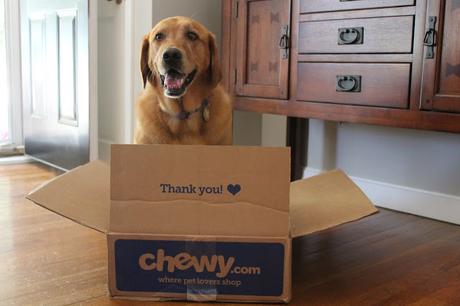 Chewy.com challenge for Cosequin supplements for dog hip health