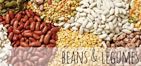 bean legumes1