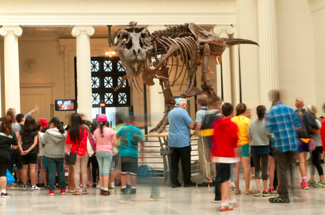 Field Museum