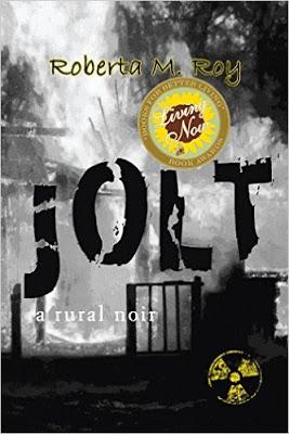 Inspirational Medalist Roberta M Roy Talks about Her Novel  Jolt: A Rural Noir