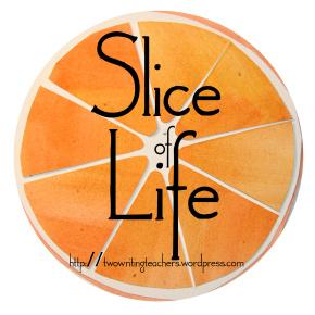 WRITE a slice of life story on your own blog. SHARE a link to your post in the comments section. GIVE comments to at least three other SOL bloggers.