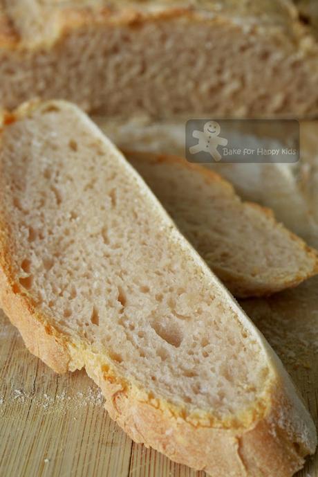 Sourdough Starter and My First Successful Sourdough Artisan Bread