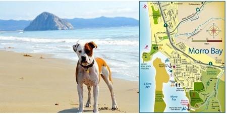 Check out the new Morro Bay Pet Friendly map. 