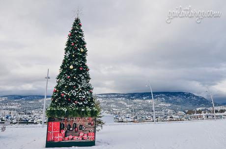 winter in Kelowna, BC, Canada