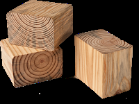 Different Types Of Wood Used For Designing Cabinets