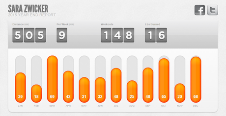 2015 running summary