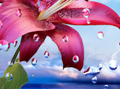 Latest Wallpaper Mobile 2016 #Free Download