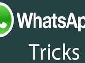 Whatsapps Without Cropping Android iPhone