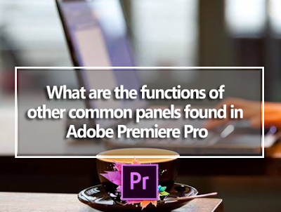 What are the functions of common panels found in Adobe Premiere Pro