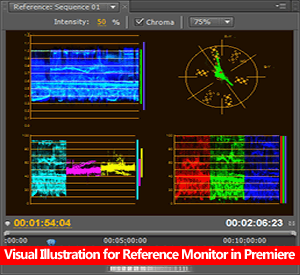 Reference Monitor :: This monitor comes handy as this is a very useful technical monitor for advance users, it gives you a precise information about video clips.