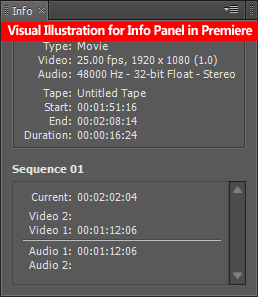 The Info Panel (information panel) :: Provides information about the selected objects. You can check every detail of the clip may it be audiovisual or video alone or audio along or any graphics or still photographs etc.