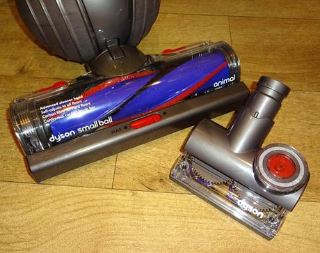 dyson small ball animal