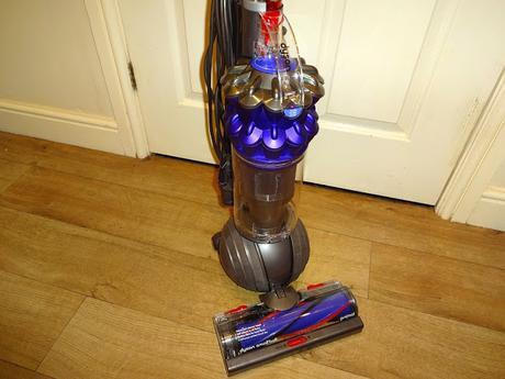 Dyson Small Ball animal review
