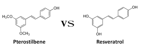 Another installment on anti-aging chemistry - pterostilbene