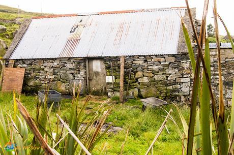 Family home built by Nora Canavan's father.