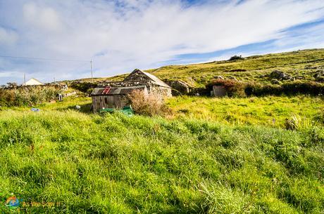 View of the family lands