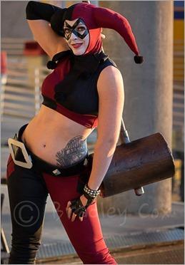DC Doll as Harley Quinn (Photo by Bradley Cox Photography)