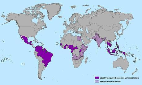 Travel Warning Possible for Zika Virus zika-world-map