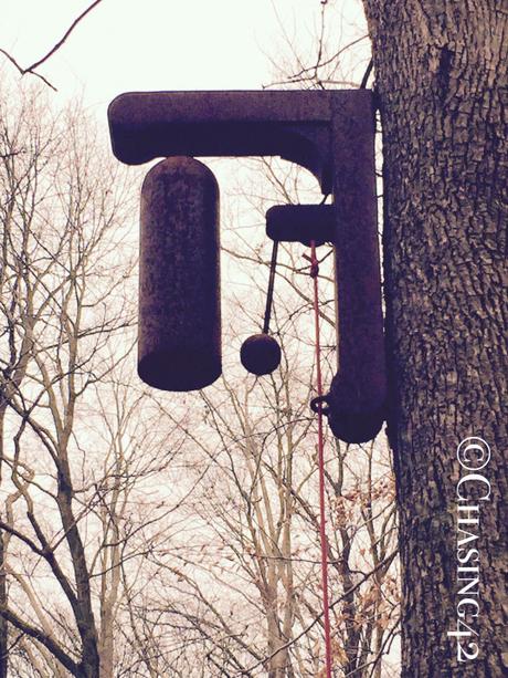 For whom does the bell toll? This bell is always a random treat to ring along the trails!