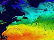 Climate Study Suggests Rapid Warming Ahead England Coastal Waters