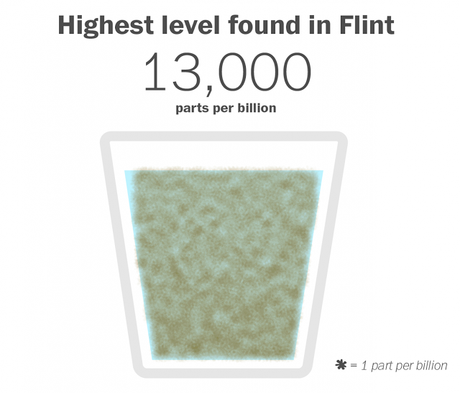 Republicans Poinson Flint Citizens To Save Money