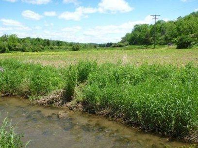 Rapid version of assessment tool provides easier way to monitor wetland quality