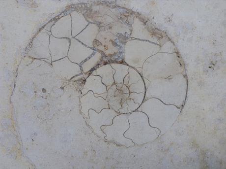 Walk of the Week: Urban Geology in Canary Wharf @R_Siddall