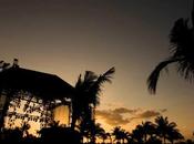 Phish 2016 Mexico Torrents: Riviera Maya 2016/01/16