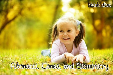 Fibonacci, Cones and Biomimicry